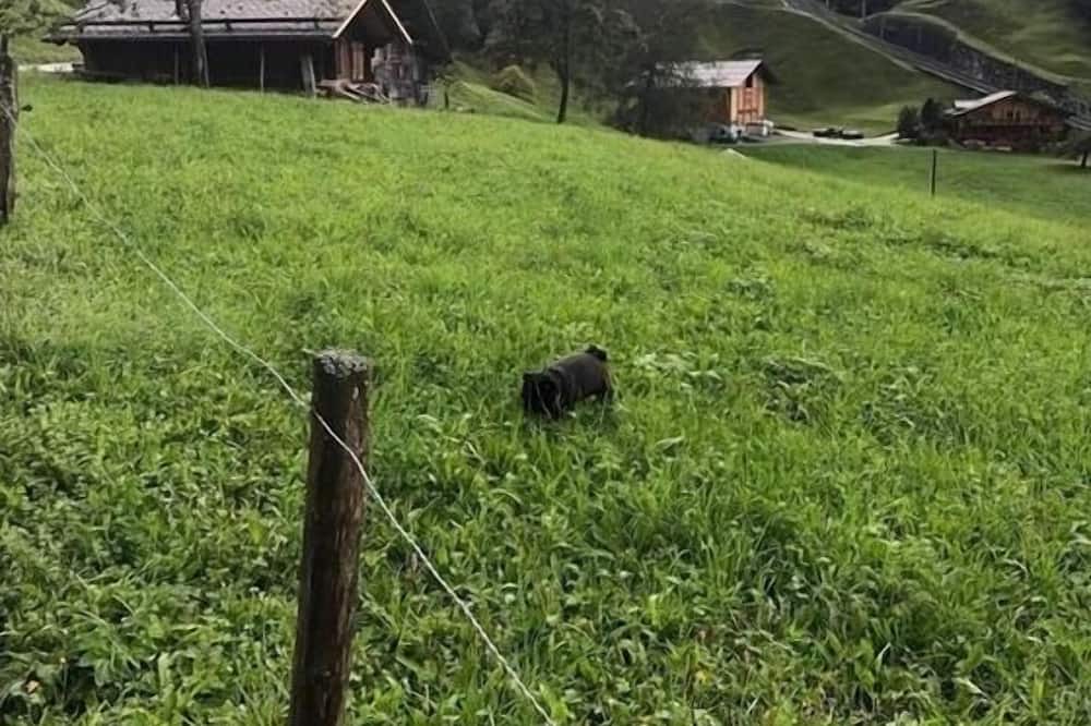 Photo of Outdoor in Grindelwald