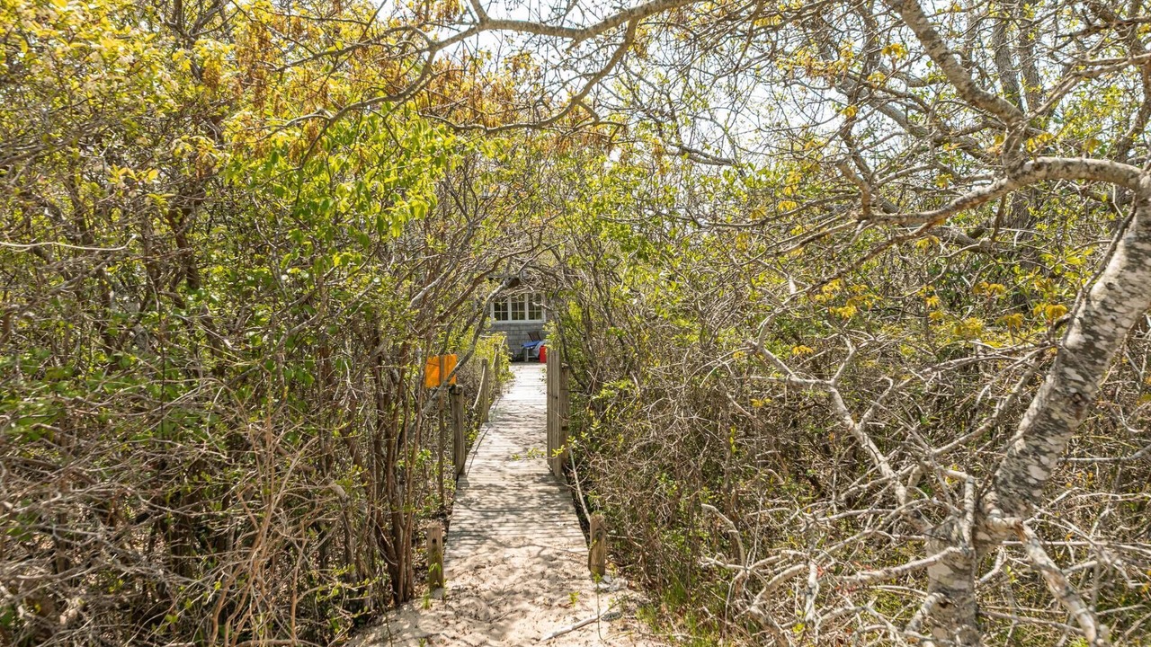 Photo of Outdoor in Amagansett