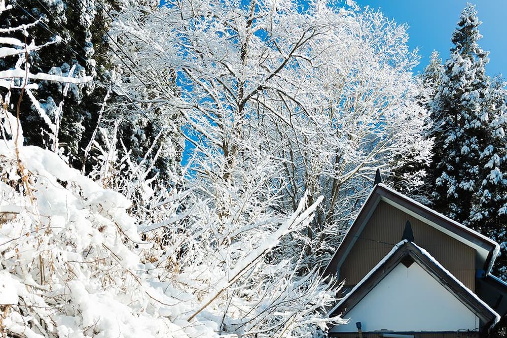 Photo of Outdoor in Yuzawa