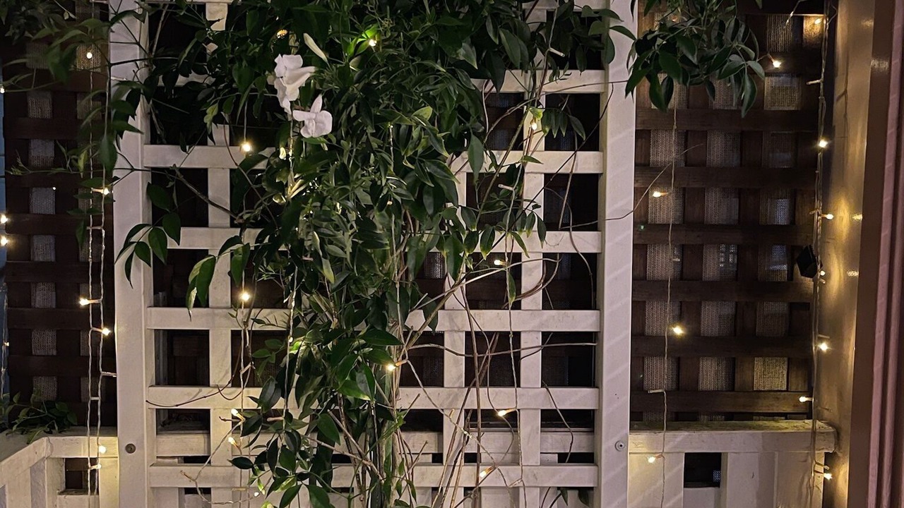 Photo of Outdoor in Eureka Valley