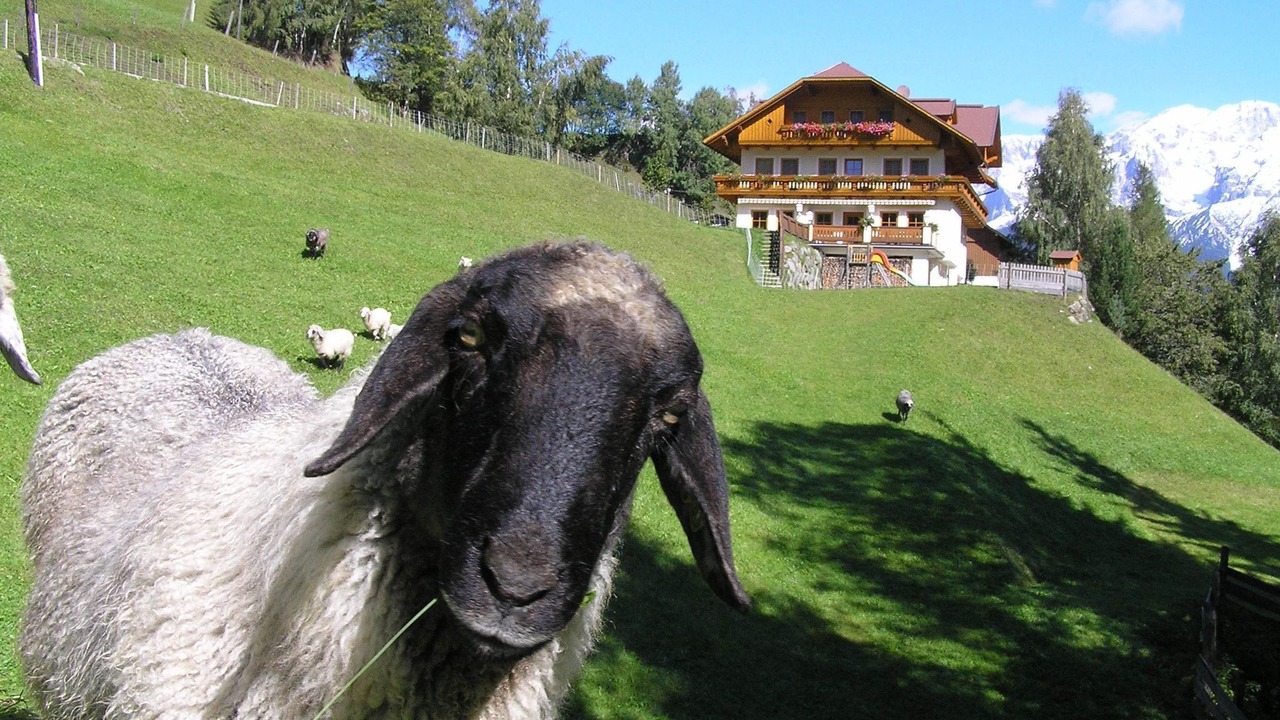 Photo of Others in Pichl-Preunegg