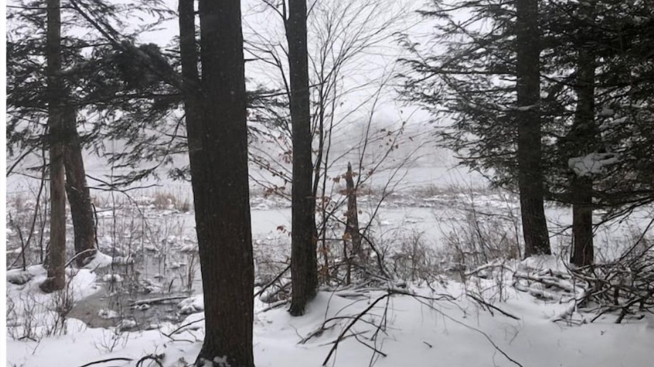 Photo of Others in Aldenville