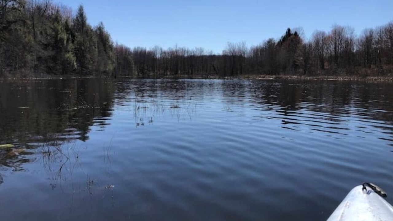 Photo of Outdoor in Aldenville