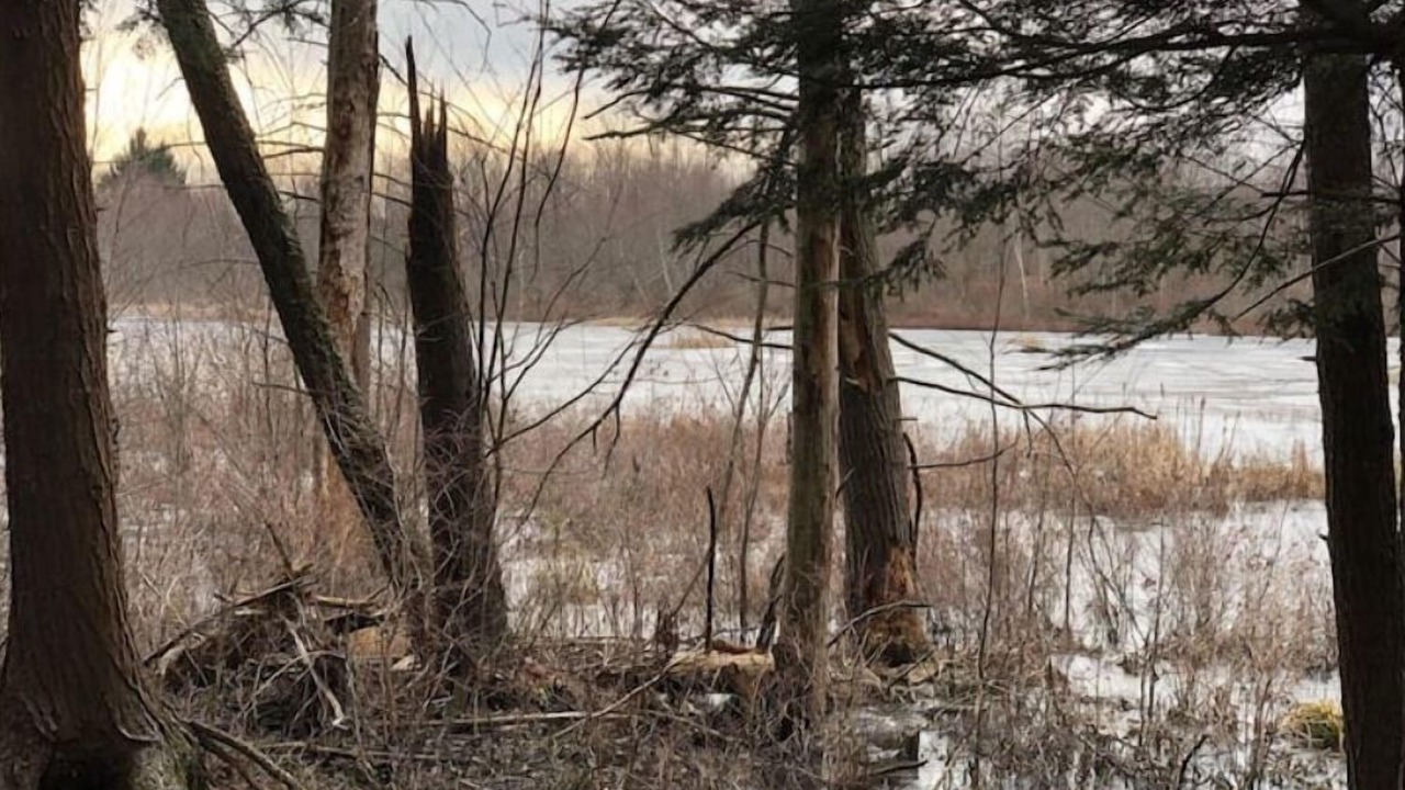Photo of Others in Aldenville