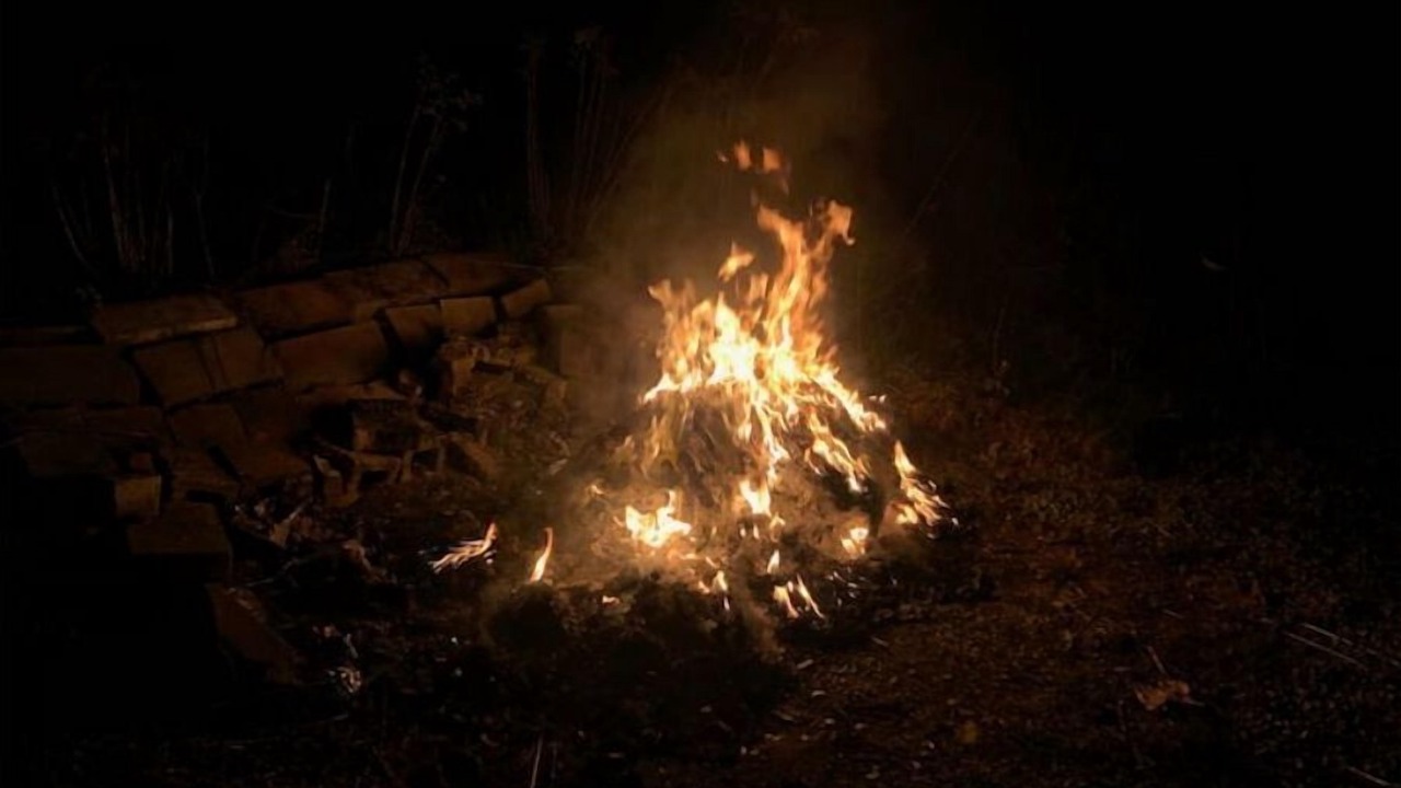 Photo of Outdoor in Aldenville