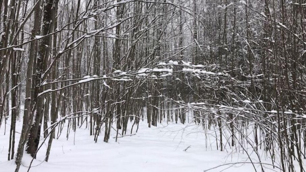 Photo of Others in Aldenville