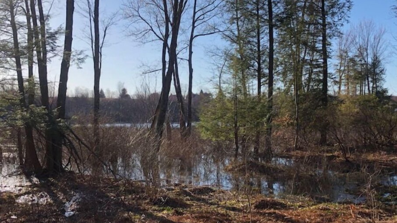 Photo of Others in Aldenville