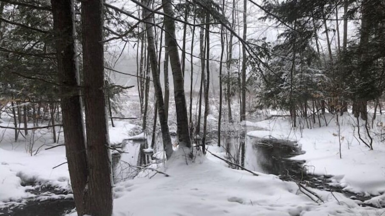 Photo of Others in Aldenville