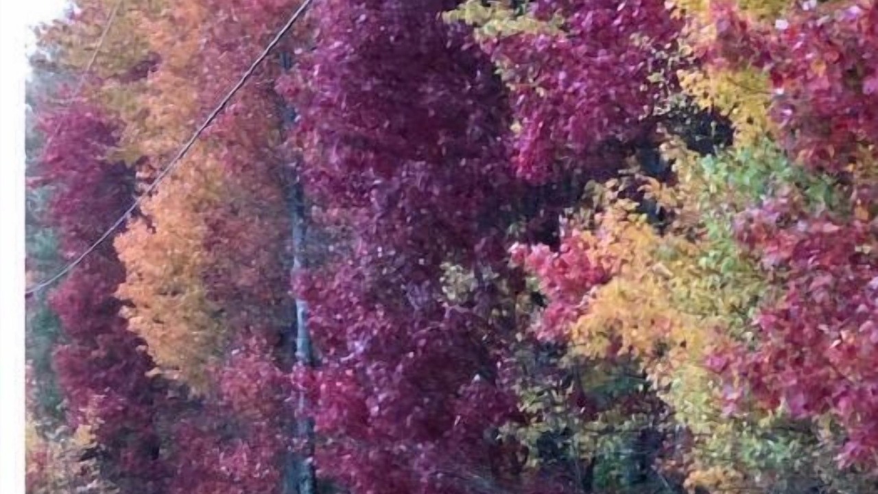 Photo of Others in Aldenville