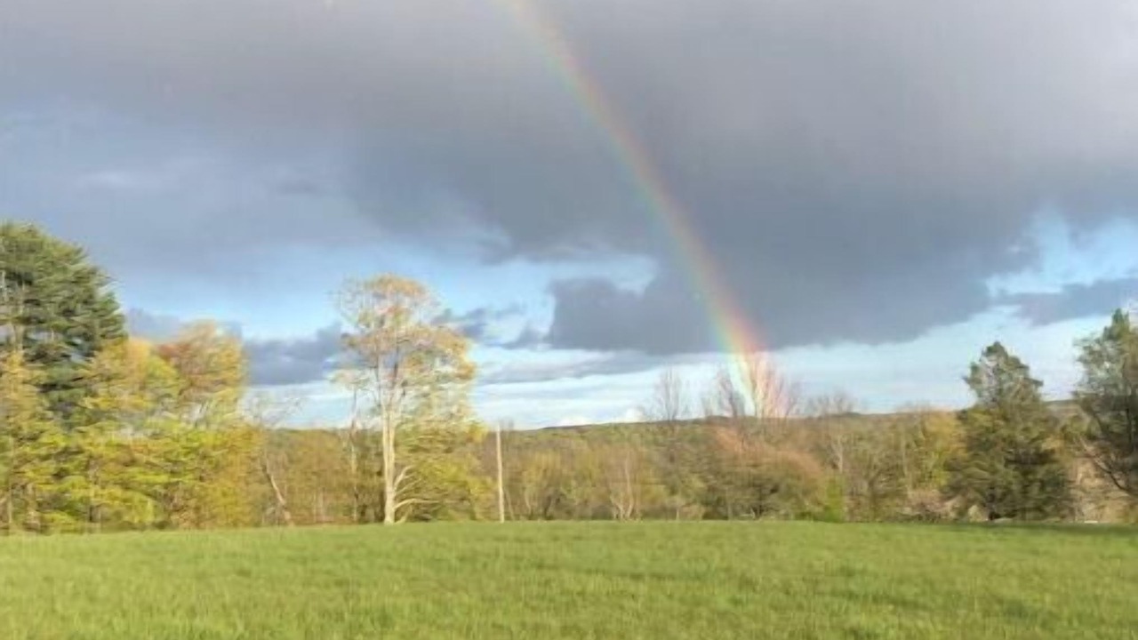 Photo of Outdoor in Aldenville
