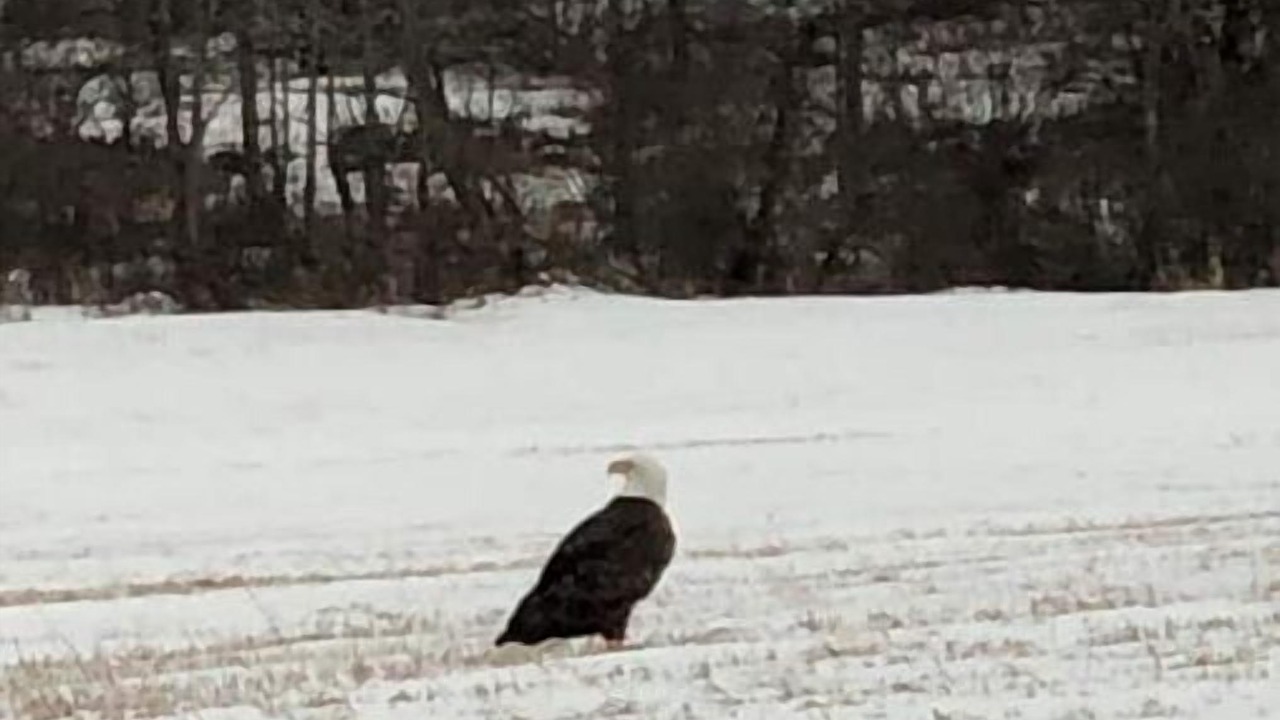 Photo of Others in Aldenville
