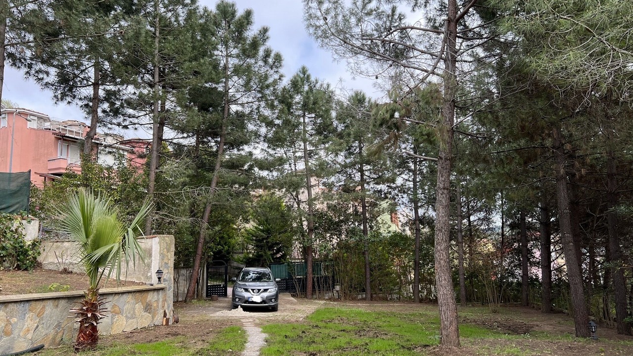 Photo of Outdoor in Sile