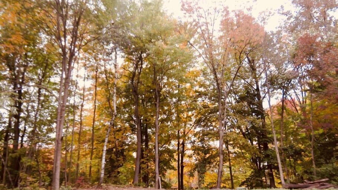 Photo of Outdoor in Lac-Brome