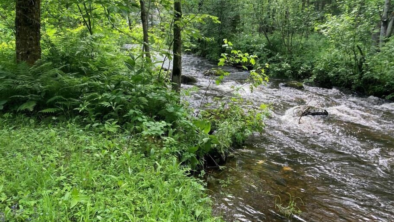 Photo of Outdoor in Eastman
