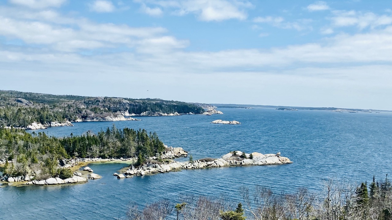 Photo of Others in Terence Bay