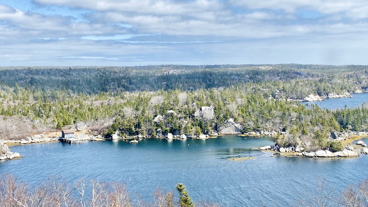 Photo of Others in Terence Bay