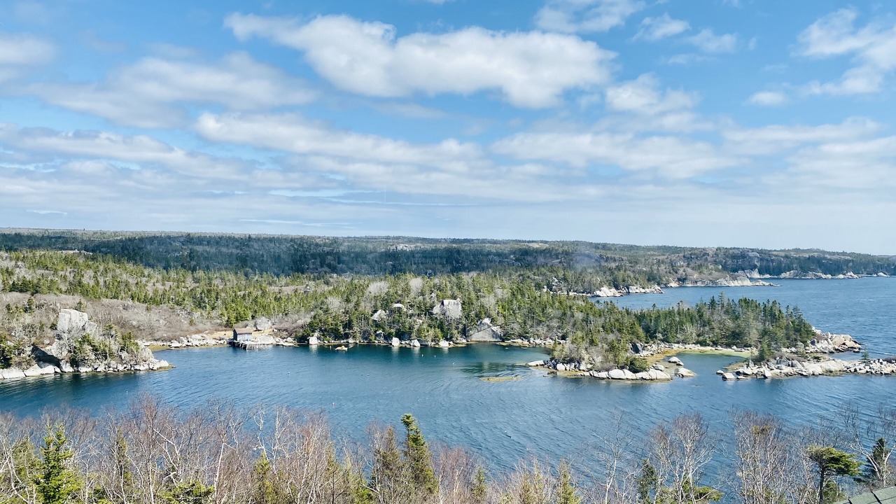 Photo of Others in Terence Bay