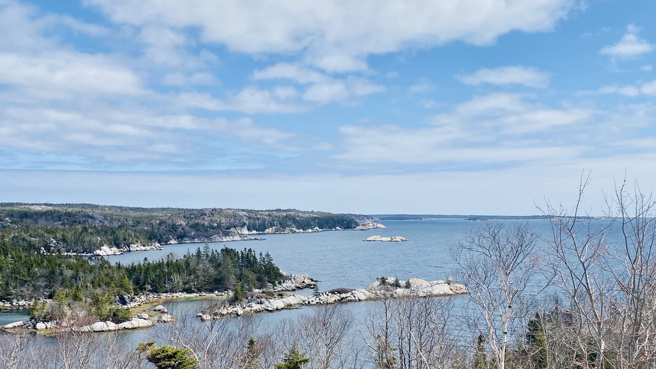 Photo of Others in Terence Bay