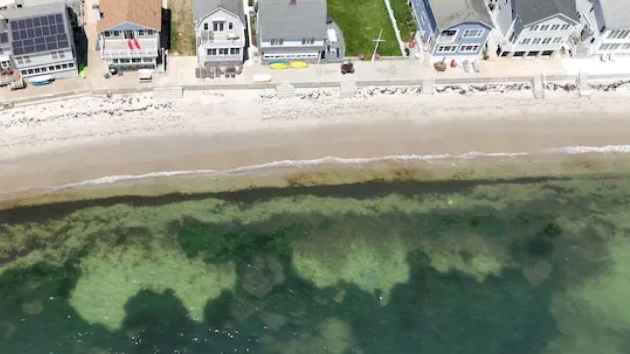 Photo of Outdoor in Niantic