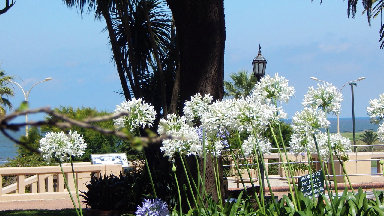 Photo of Outdoor in Pocitos