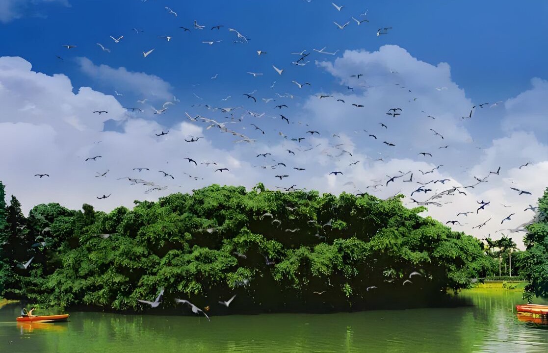 Photo of Others in Pengjiang