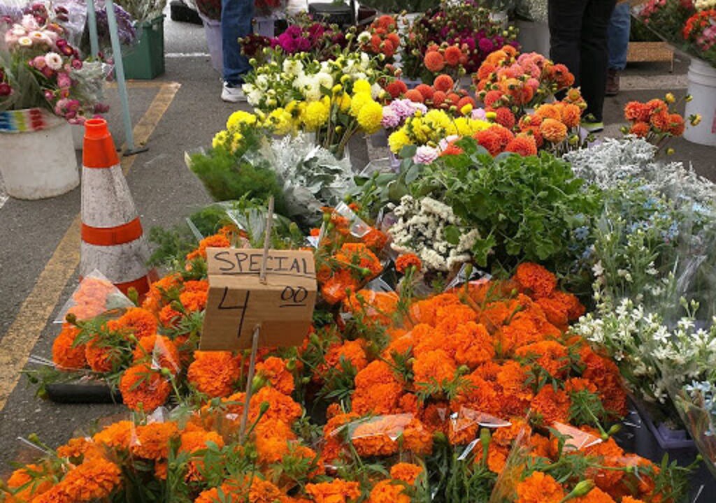 Photo of Outdoor in Silver Terrace