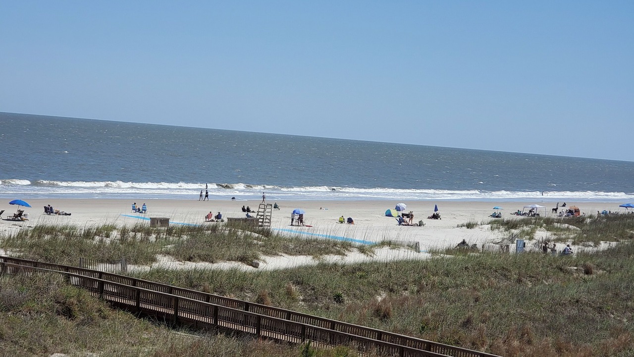 Photo of Others in Folly Field