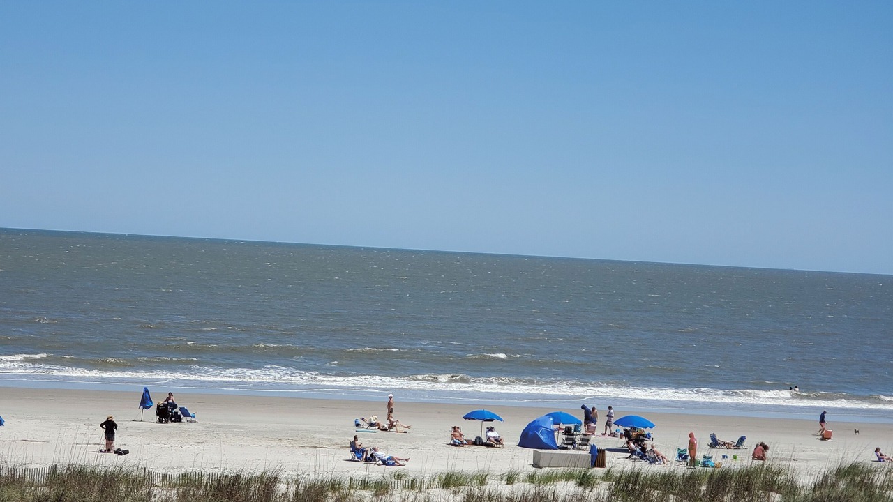 Photo of Others in Folly Field