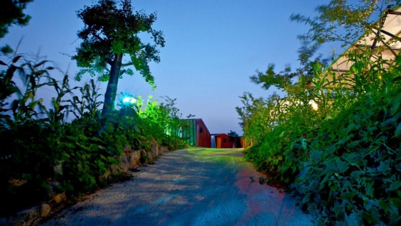 Photo of Others in Hapcheon