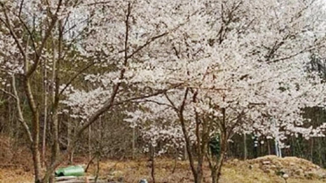Photo of Others in Wanju