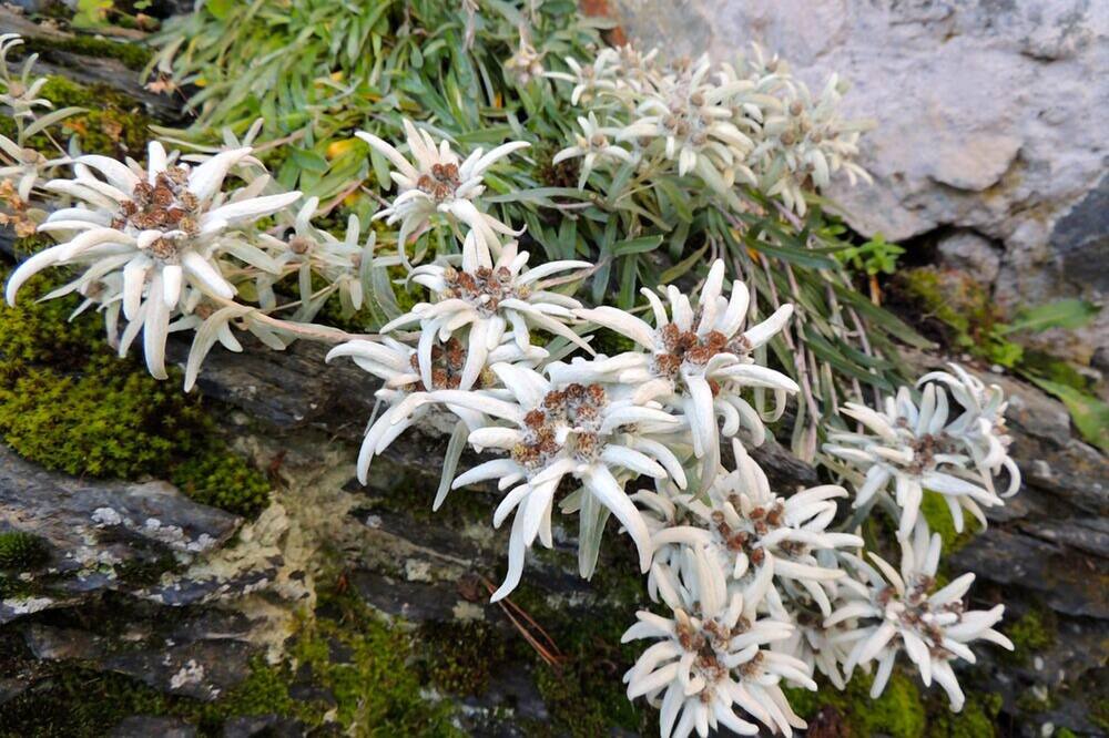 Photo of Outdoor in Zermatt
