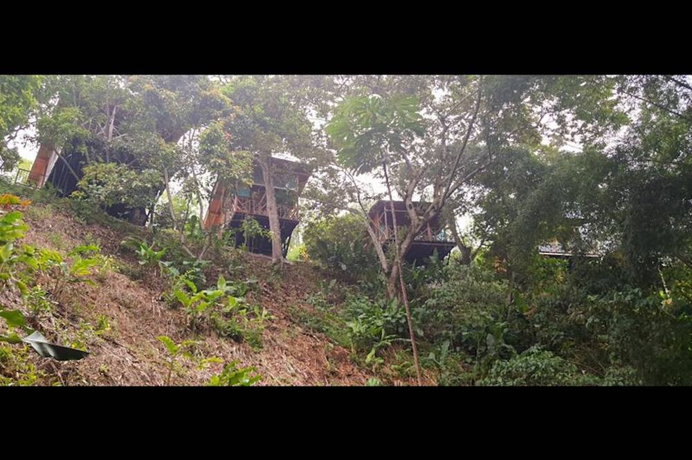 Photo of Outdoor in Quimbaya
