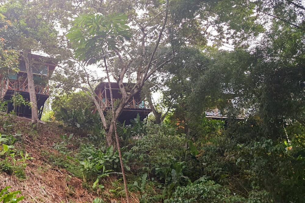 Photo of Outdoor in Quimbaya