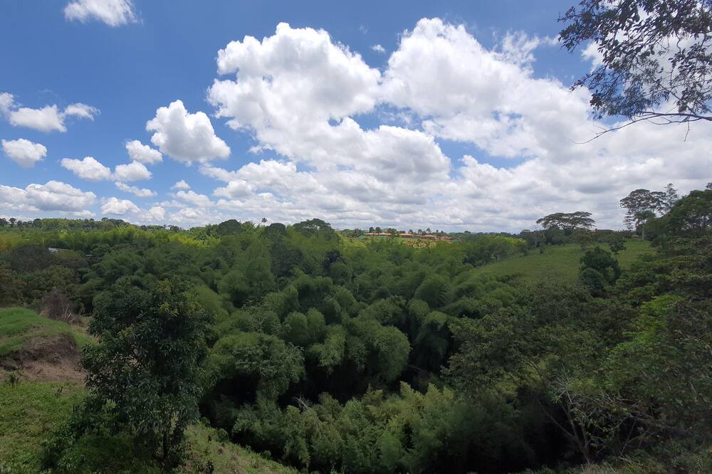 Photo of Outdoor in Quimbaya
