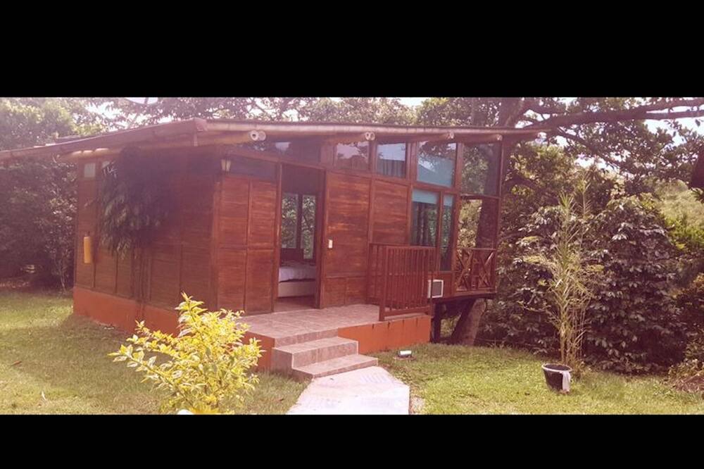 Photo of Outdoor in Quimbaya