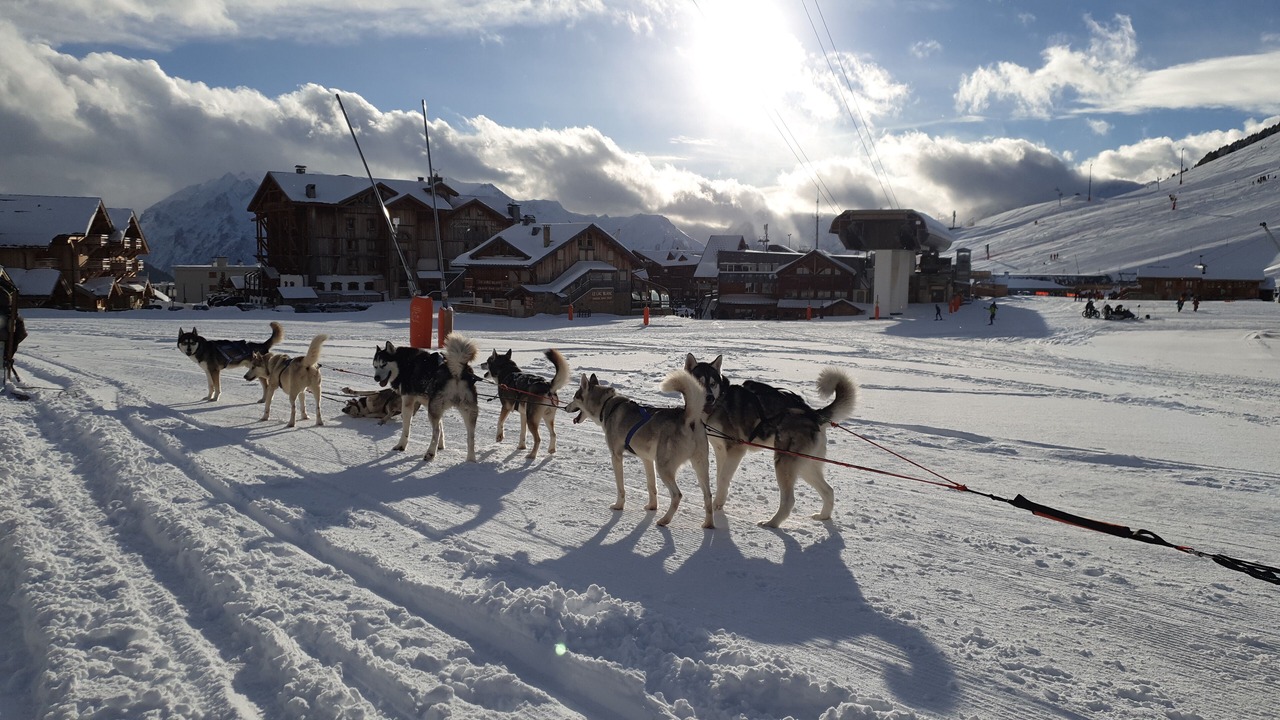 Photo of Others in Huez