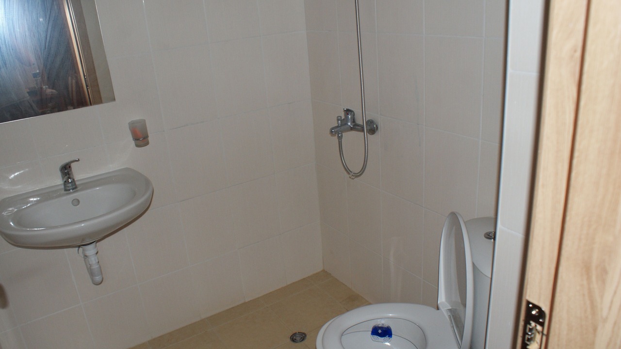 Photo of Bathroom in Tankovo