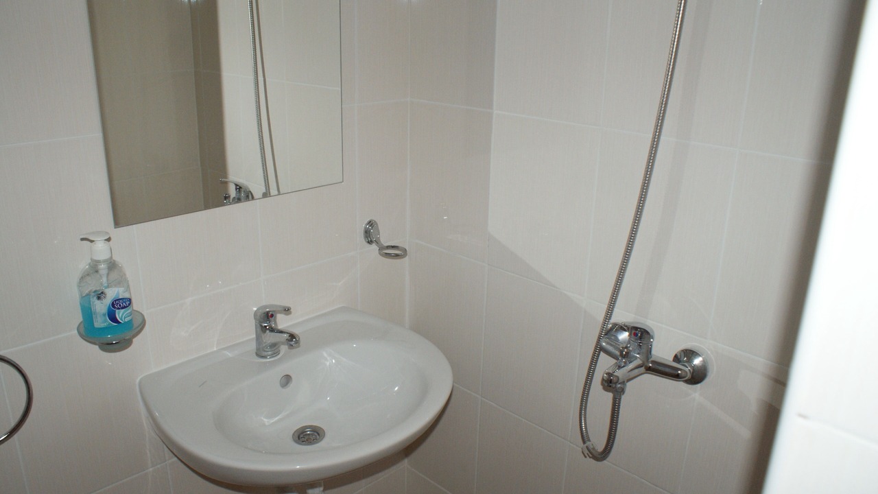 Photo of Bathroom in Tankovo