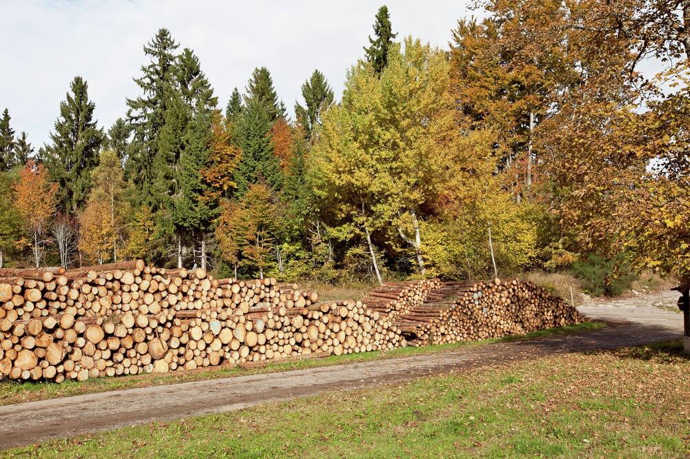 Photo of Others in Urberg