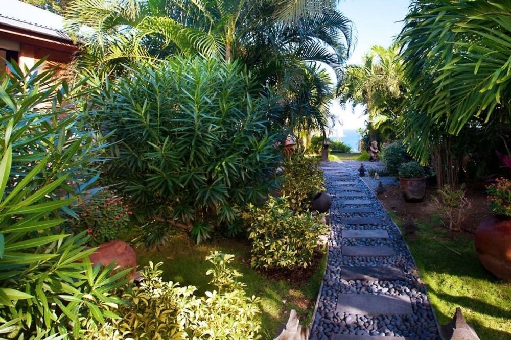 Photo of Outdoor in Anse des Lezards