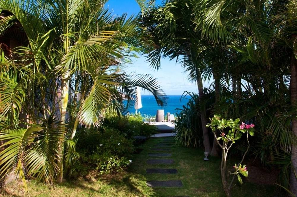 Photo of Outdoor in Anse des Lezards