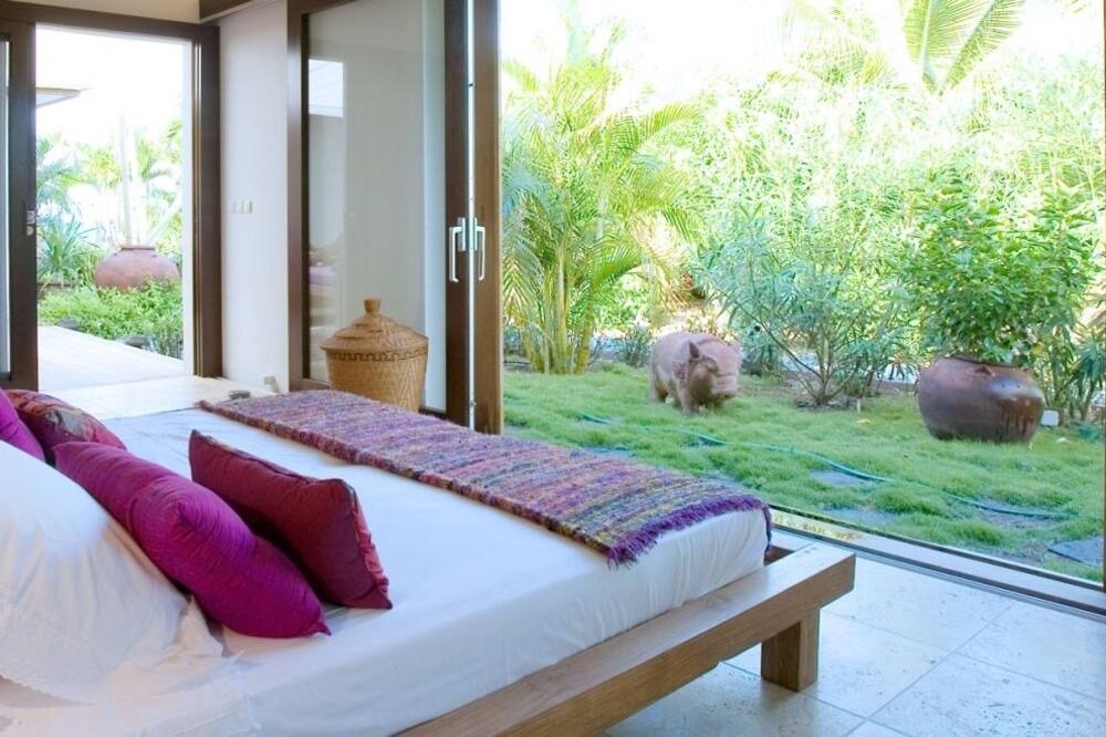 Photo of Bedroom in Anse des Lezards