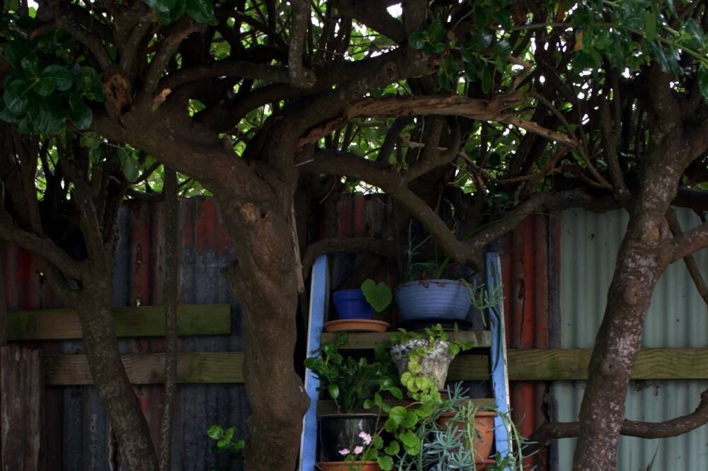 Photo of Outdoor in Otaki Beach