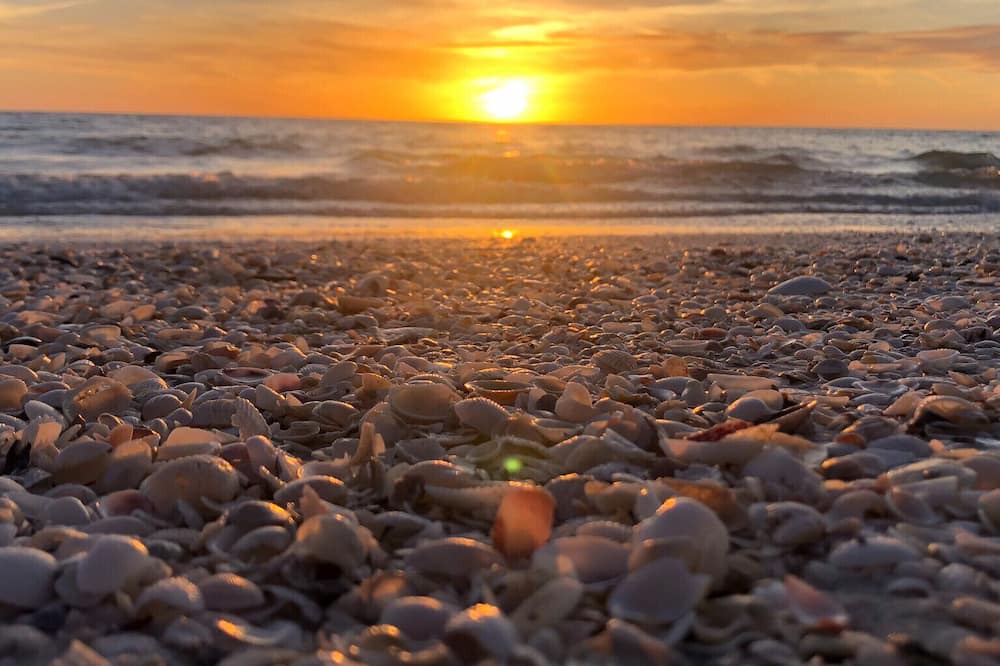 Photo of Others in Marco Island