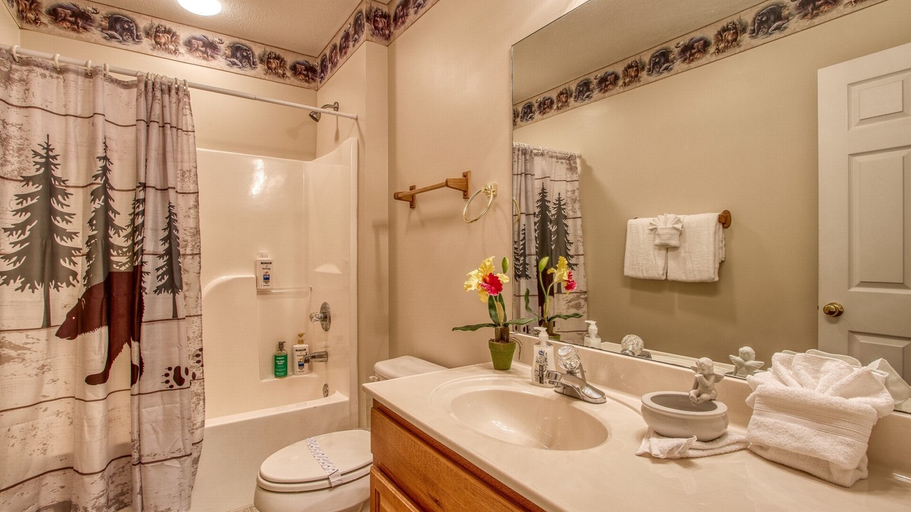 Photo of Bathroom in Pigeon Forge