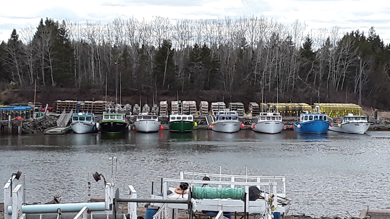 Photo of Outdoor in Tatamagouche