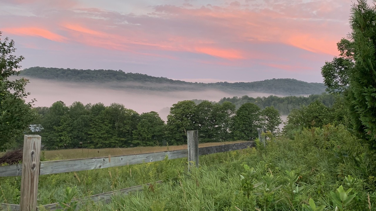 Photo of Outdoor in Washington