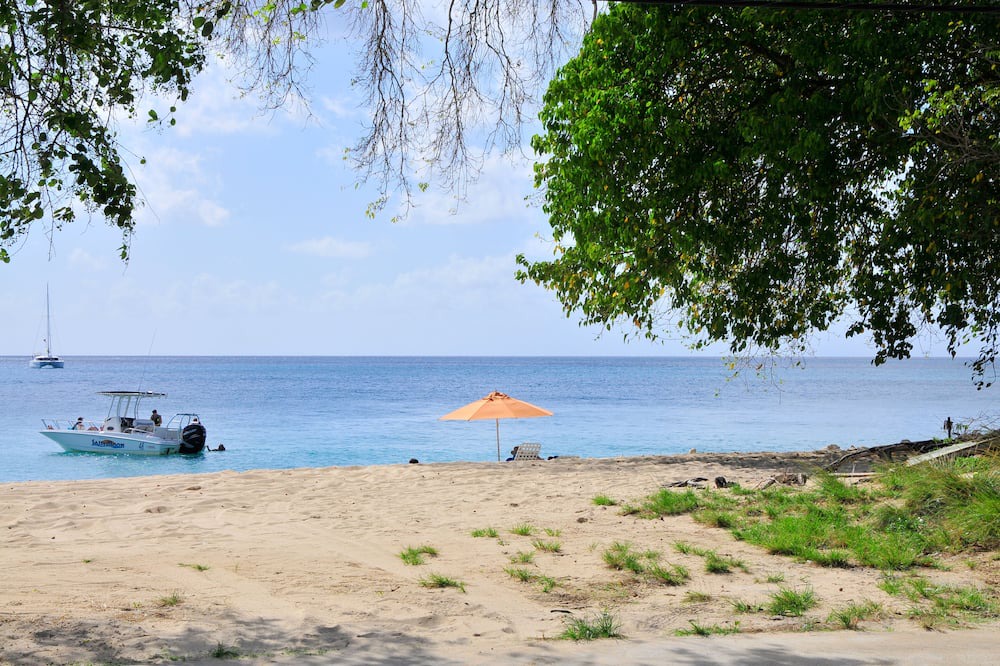 Photo of Others in Reeds Bay