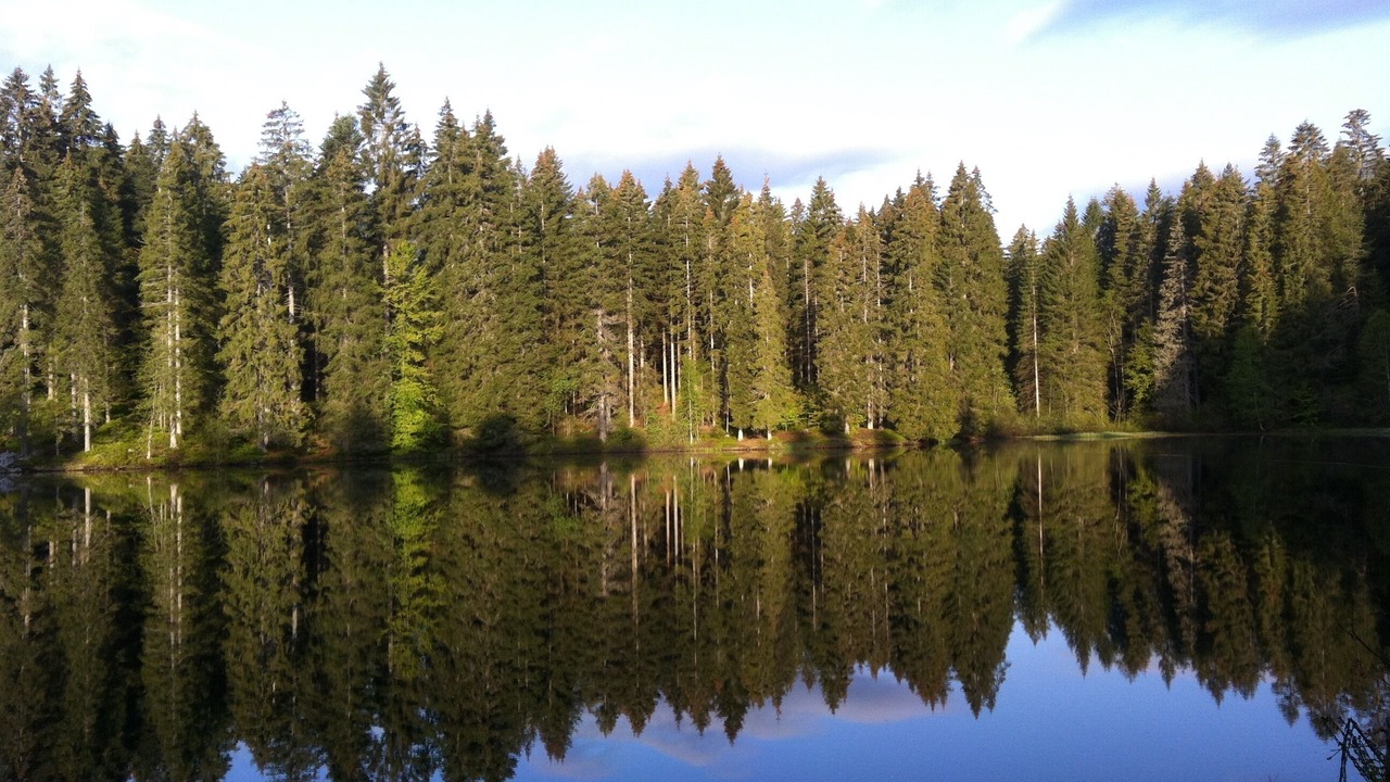 Photo of Outdoor in Hinterzarten