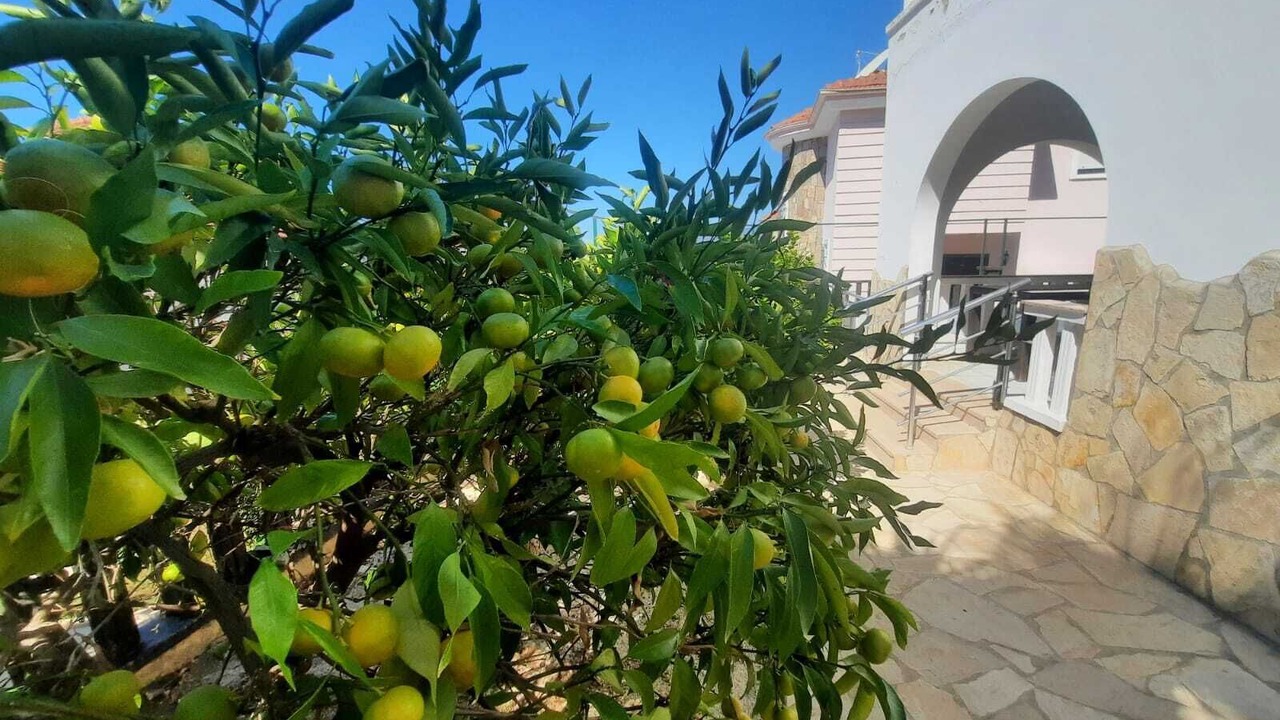 Photo of Outdoor in Alanya